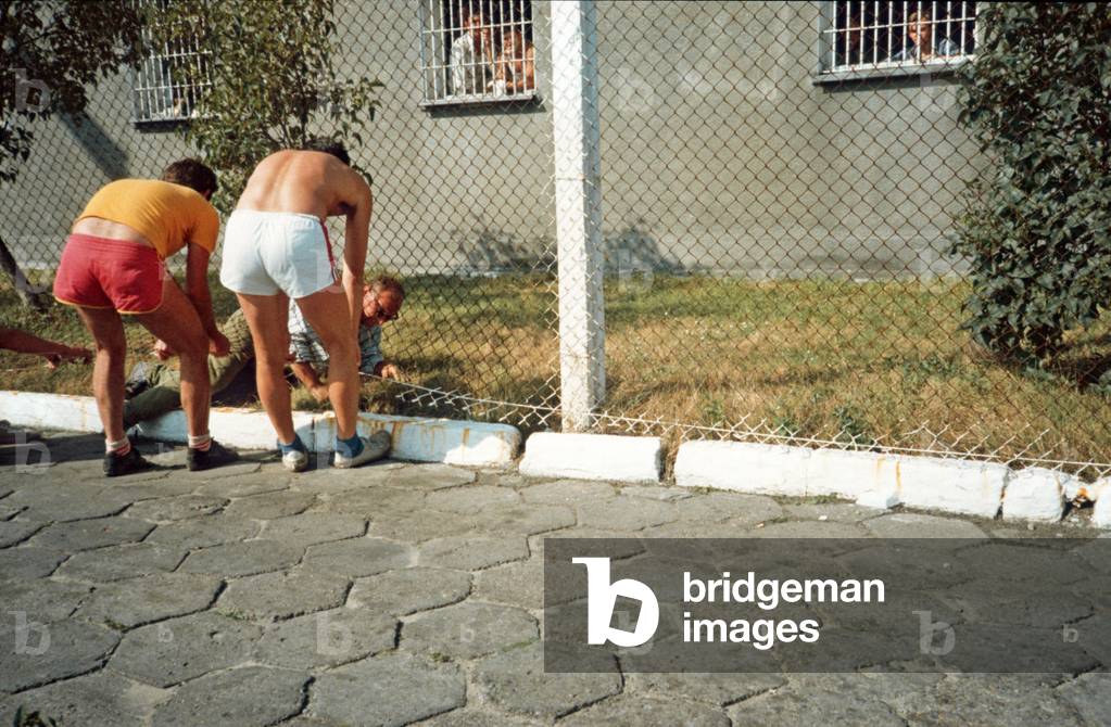 Bialoleka, 08.1982. Internmentees during martial law period in Poland. One of the intermentees from Solidarity party Henryk Bak goes under fence and picks up unused cigarettes thrown by the criminal prisoners onto the grass in order to give them back to them. 