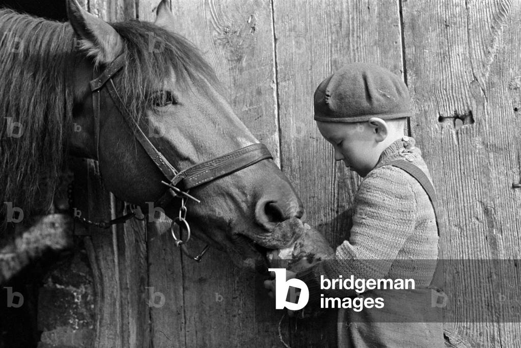 Village in Masovian Voivodeship, Poland, 1972. Little boy feeding a horse with bread. 