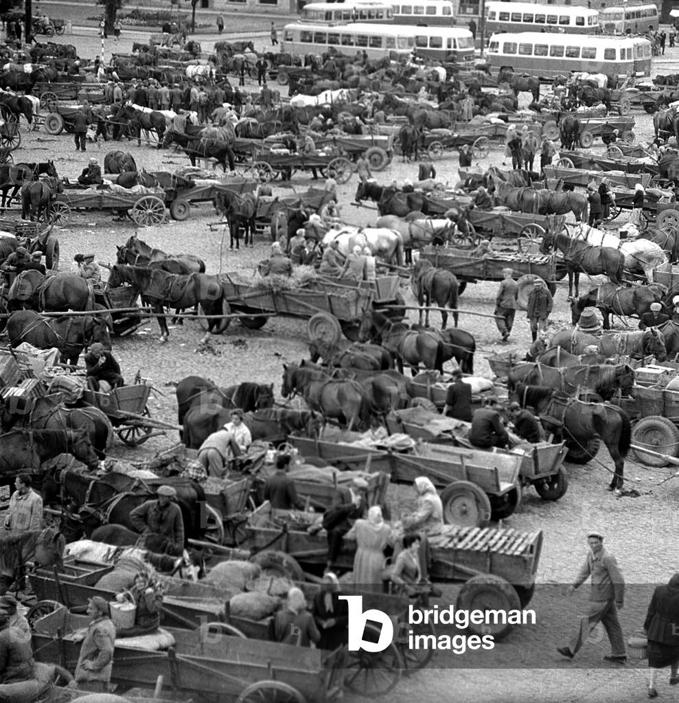 Plock, o8.1959. Horse market. 