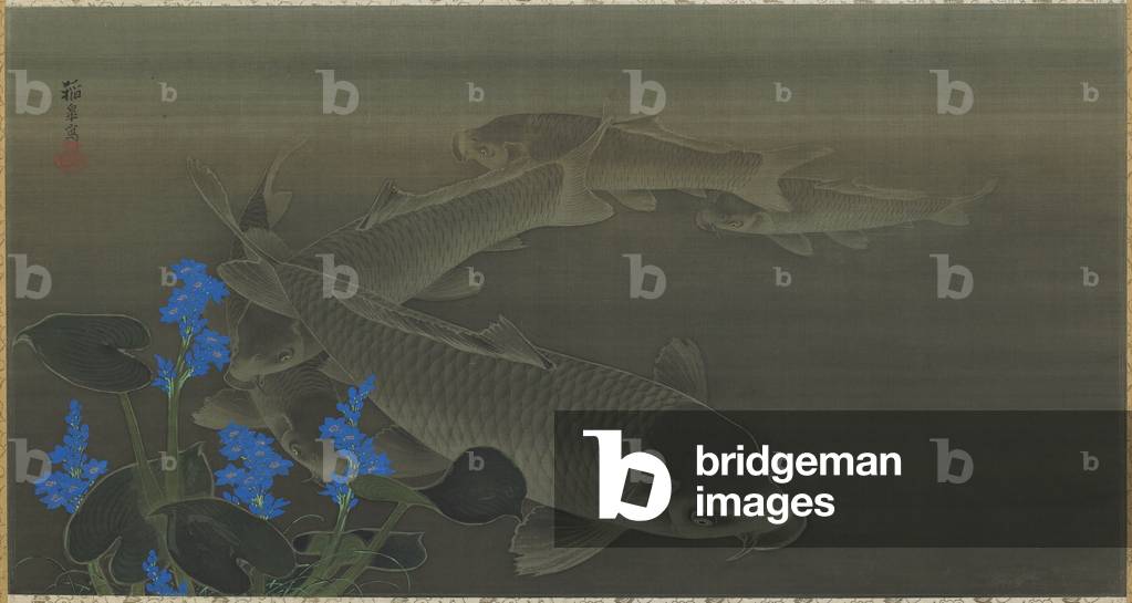 Carp, Edo period, 1787-1846 (ink & colour on silk)