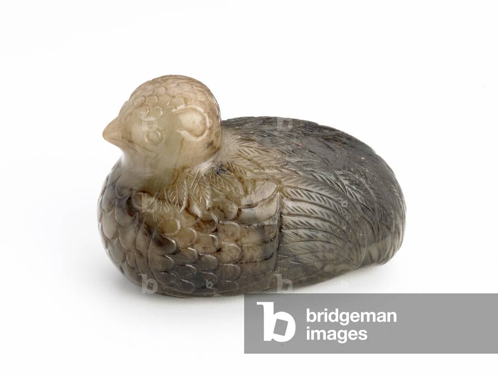 Quail, 600-1000 (jade)