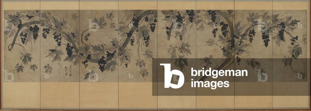 Grapevine, Korea, Choson period (ink on paper)