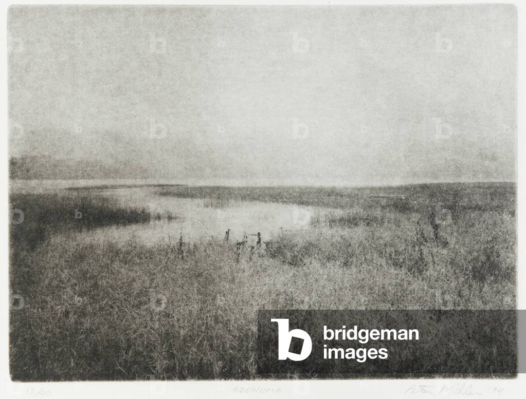 Ozenuma, 1994 (photogravure, ink on paper)