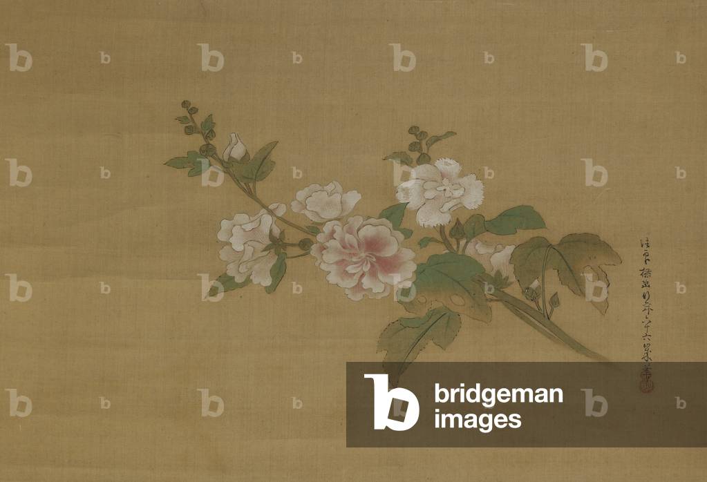 A branch of flowering hibiscus, Edo Period (colour on silk)
