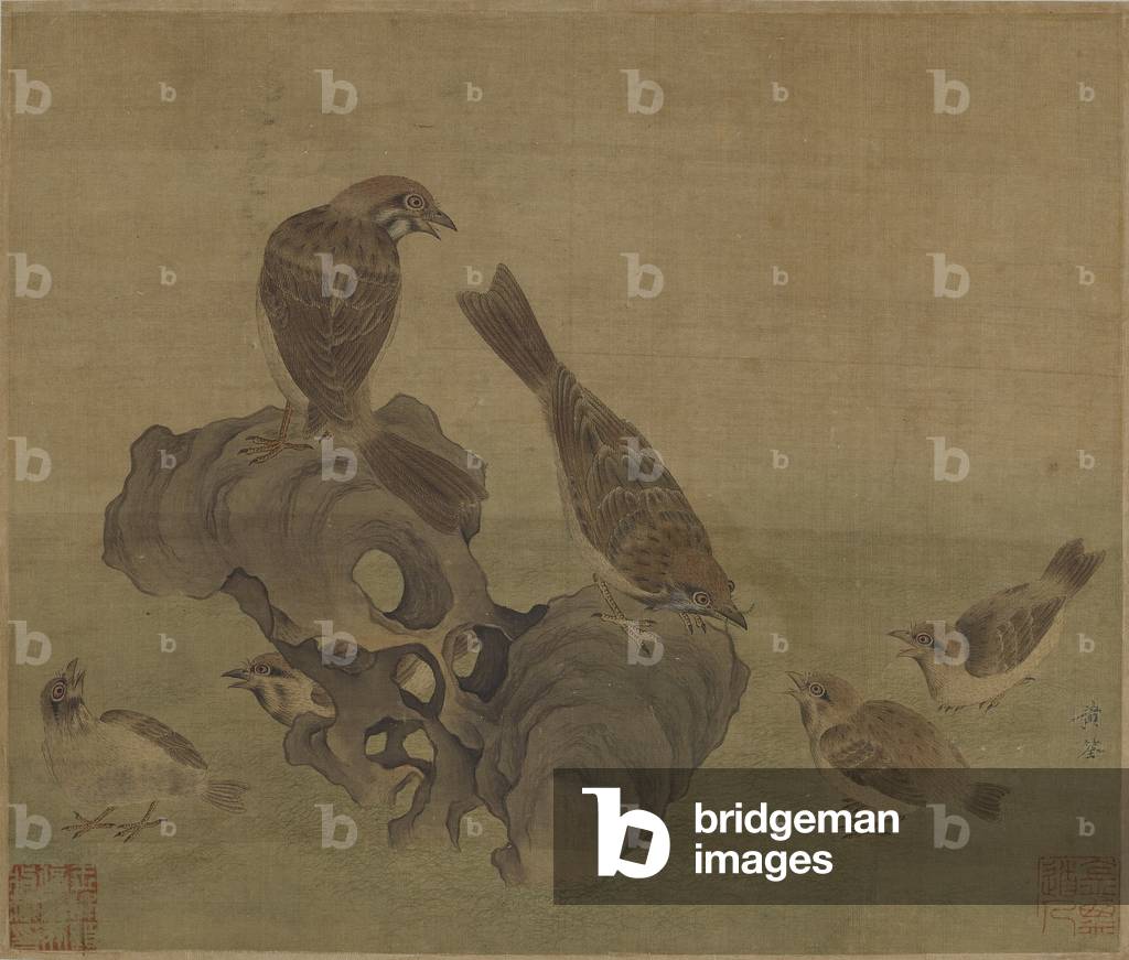 Sparrows feeding their young, Ming or Qing Dynasty (ink and colour on silk)