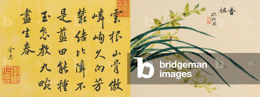Leaf 6a and 6b, from 'Master Shen Fengchi's Orchid Manuel: Vol. IV', 1882 (ink on paper)