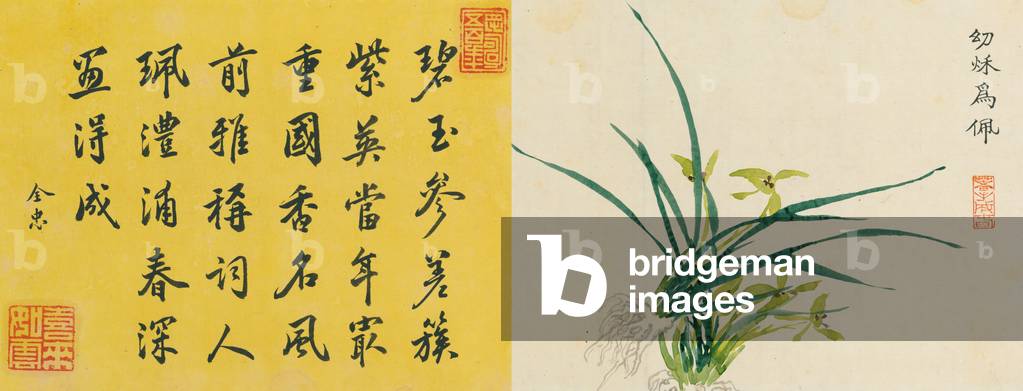 Leaf 6a and 6b, from 'Master Shen Fengchi's Orchid Manual, Vol. II', 1882 (ink on paper)