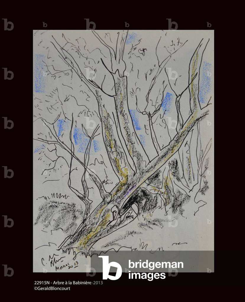 22915N - Tree a Babiniere-2013 (drawing)