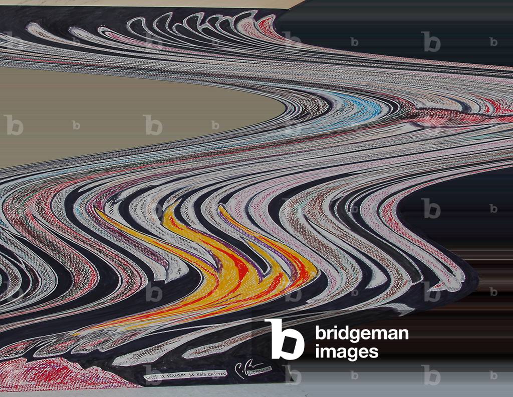 HAITI - the first shivers of the earthquake