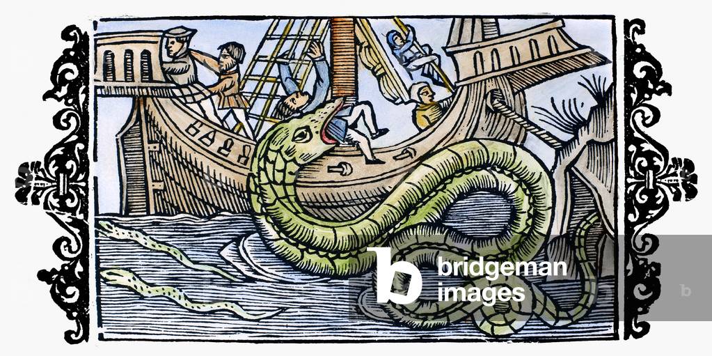 SEA MONSTER, 1555 One of the sea monsters once thought to dwell in the 'Sea of Darkness' to the south and west of Europe. Woodcut from Olaus Magnus' 'Historia de Gentibus Septentrionalibus,' 1555.