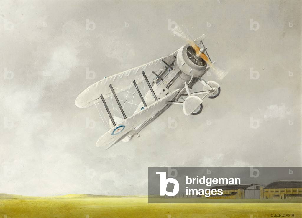 Gloster Aircraft, Gauntlet, 1924-62 (oil on board)