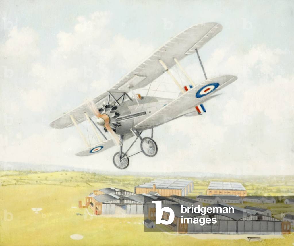 Gloster Aircraft, Gamecock, 1924-62 (oil on board)