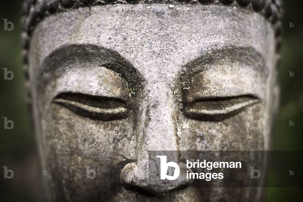 The medicine buddha (photo)