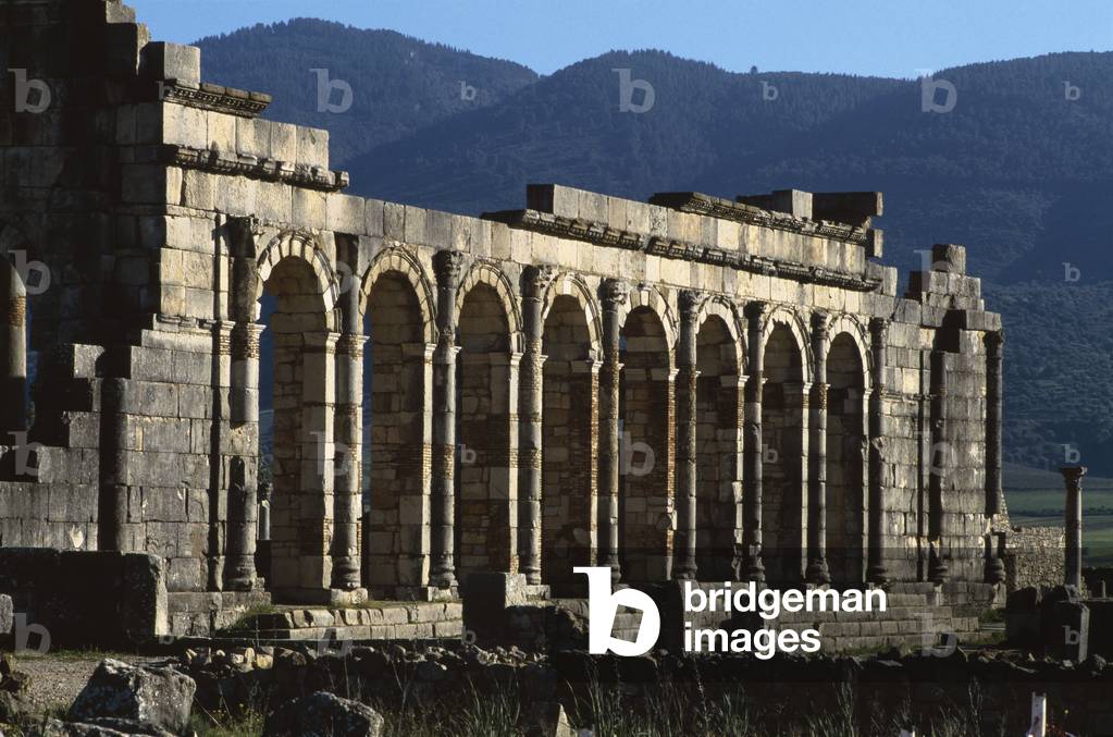 Basilica, AD 217 (photo)