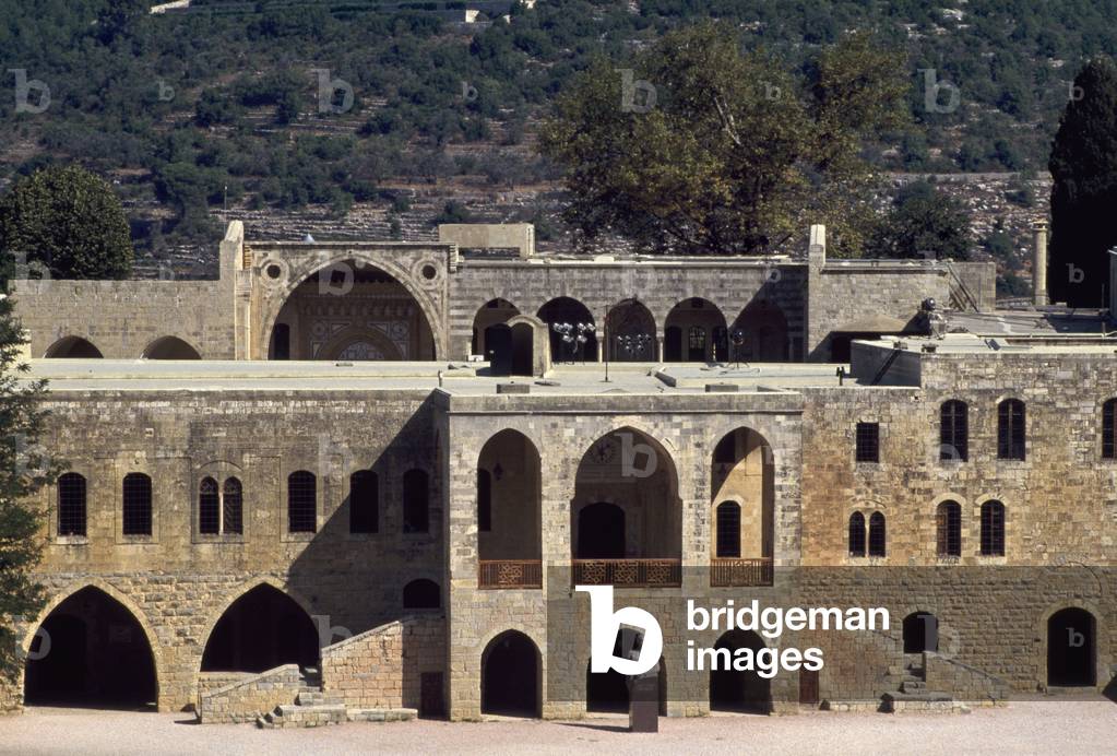 View of the palace (photo)