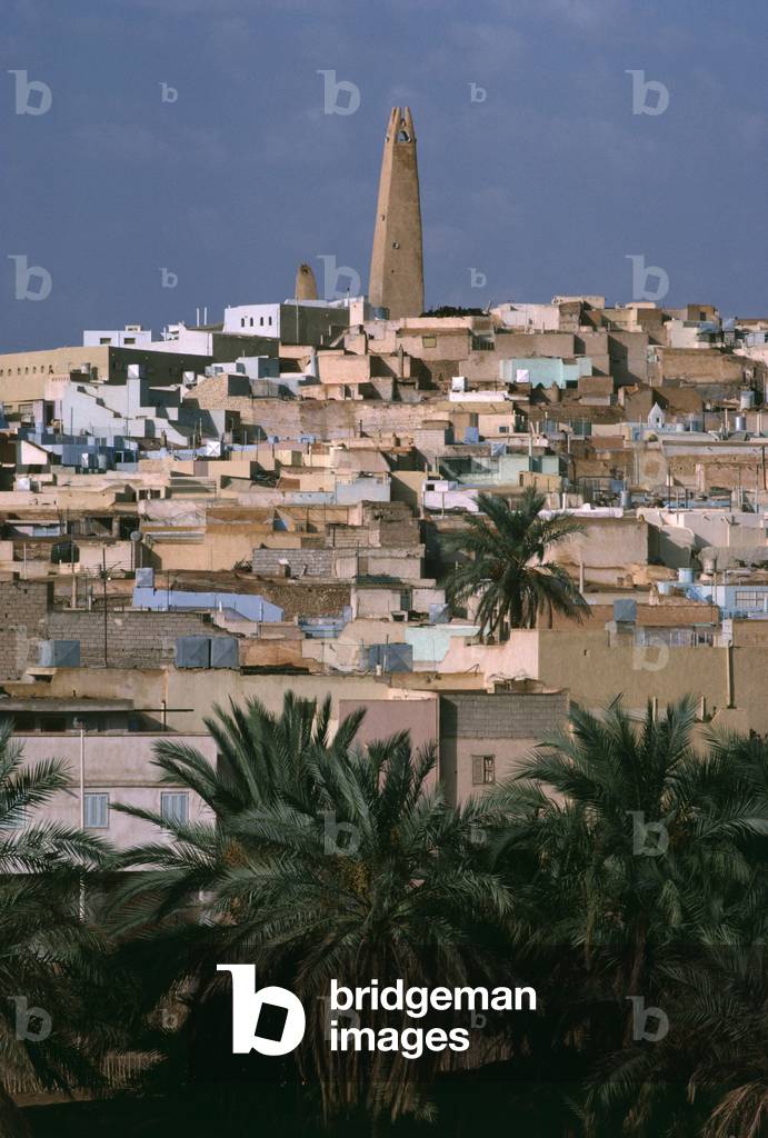 General View of the city (photo)