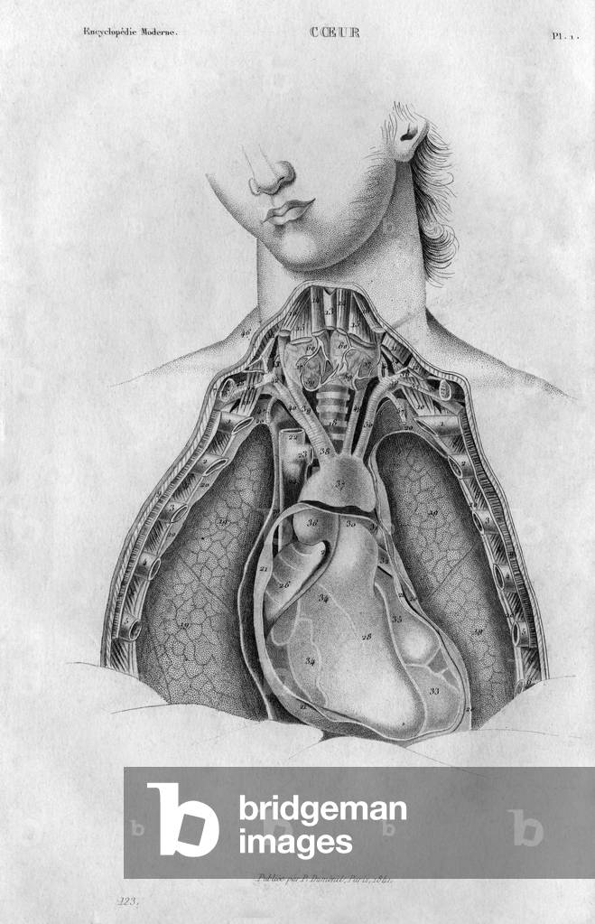 Coeur