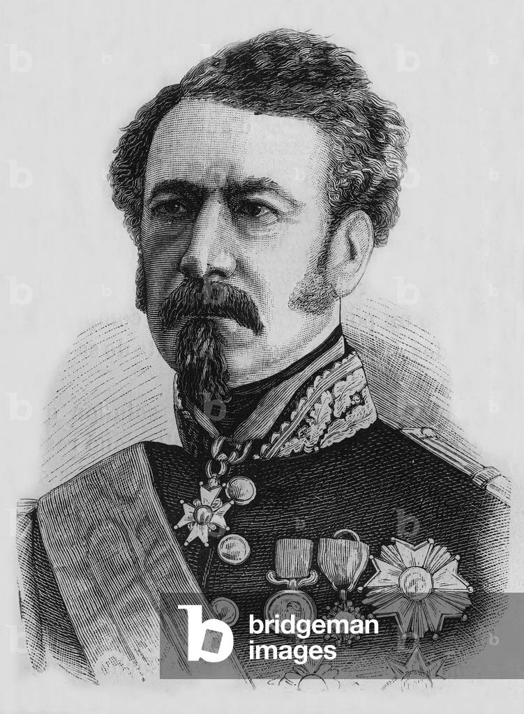 Marechal Niel, 19th century (engraving)