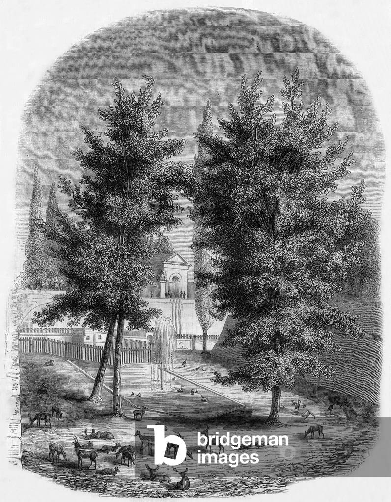 La fosse aux biches, 1847 (engraving)