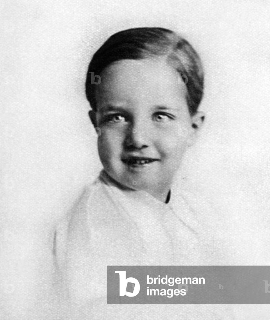 Prince Henri de France