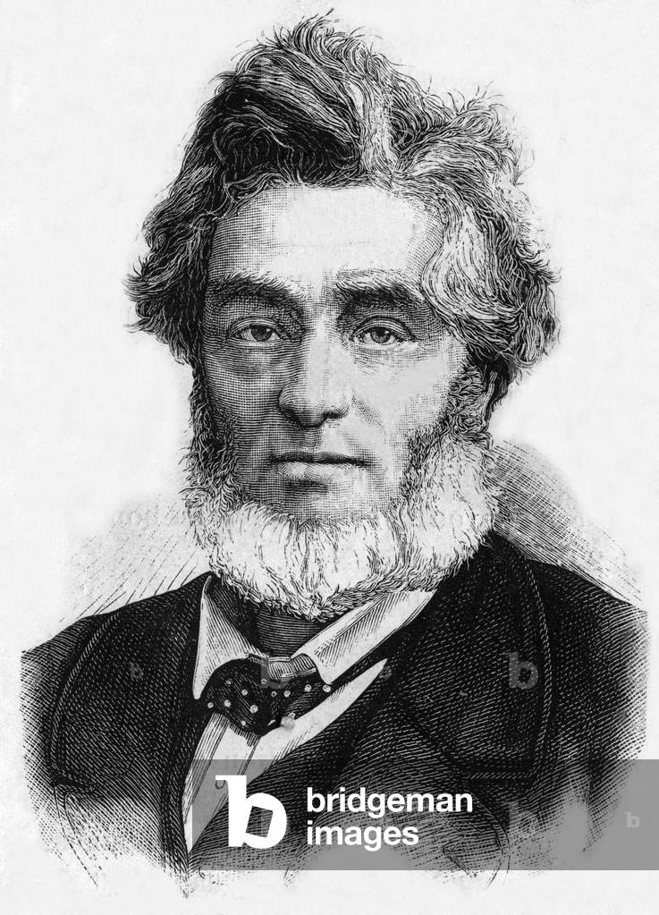 Jules Favre, 19th century (engraving)
