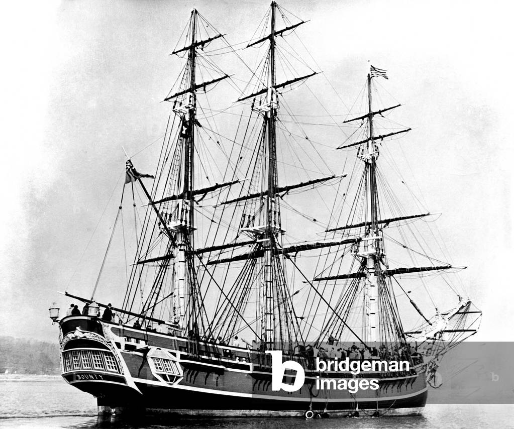 The replica of the Bounty