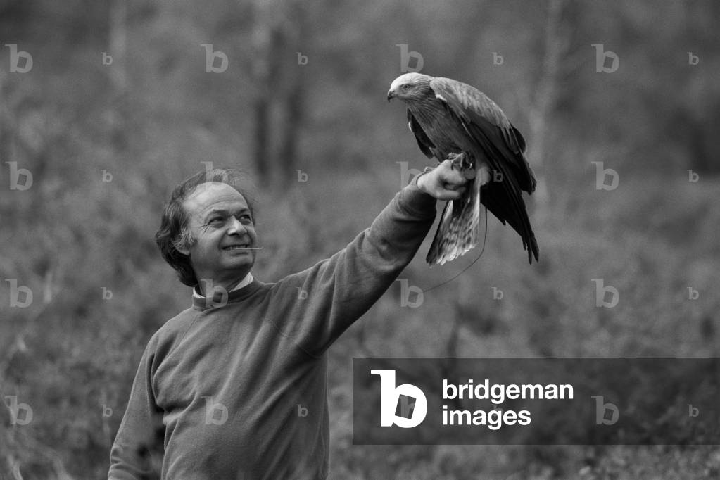 On the Set of Manon des Sources