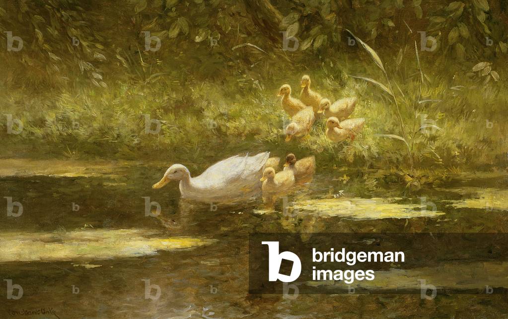 Image de Peinture représentant Canard avec canetons au bord de la rivière (huile sur toile) par Constant Artz,