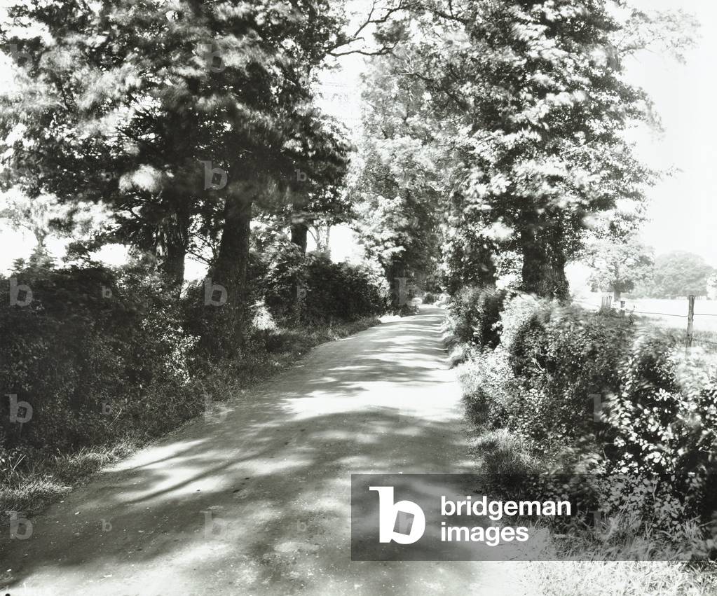 Saint Helier Estate: Green Lane, London, 1929 (b/w photo)