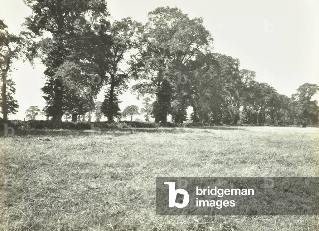 Saint Helier Estate: Green Lane, London, 1929 (b/w photo)
