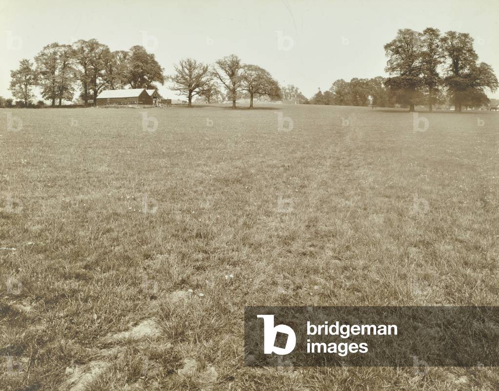 Watling Estate: site, open fields and trees, London, 1927 (b/w photo)