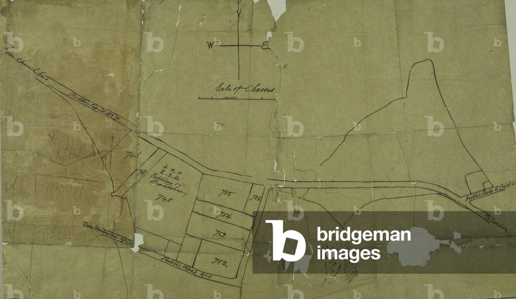 Map of Willesden, London (litho)