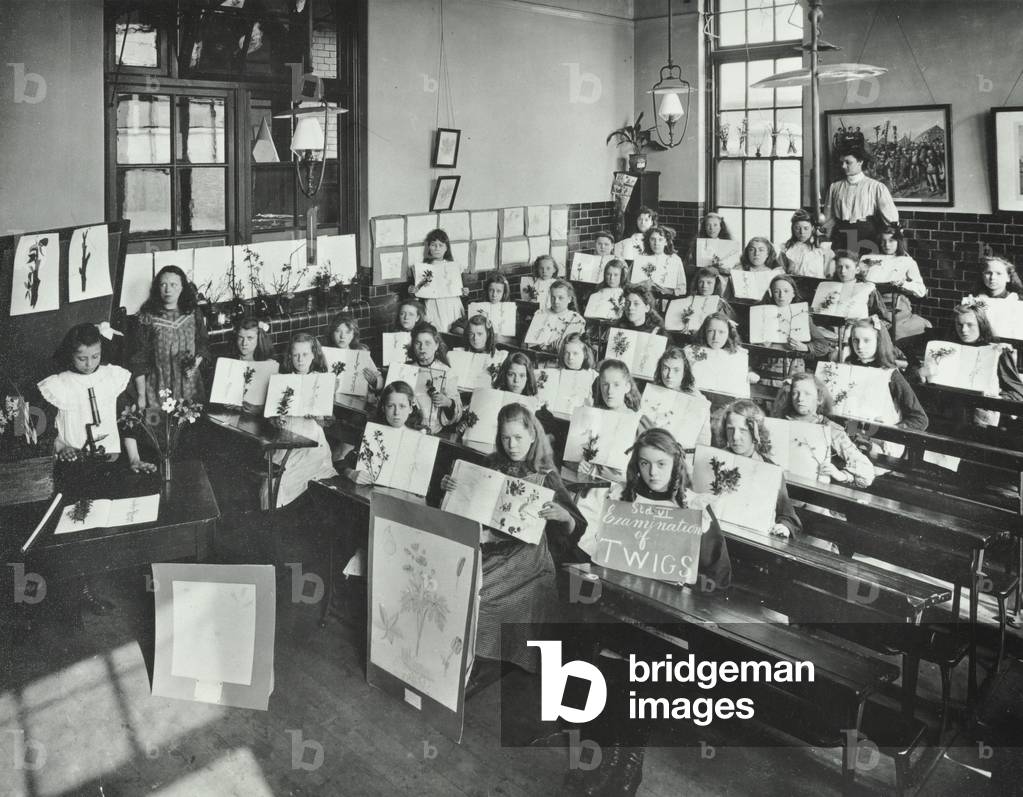 Albion Street School: nature lesson on twigs, 1908 (b/w photo)