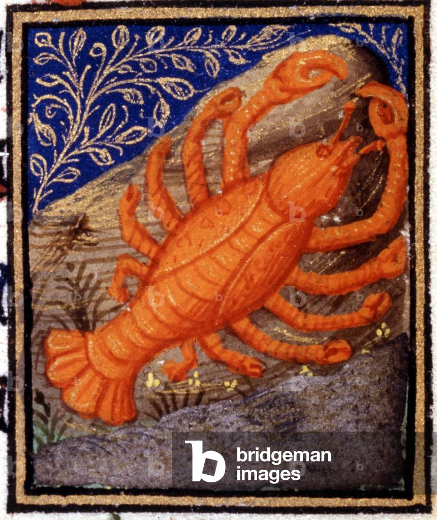 Cancer. Miniature of a horoscope. 15th century manuscript. Bibl. Trivulziana, Milan.