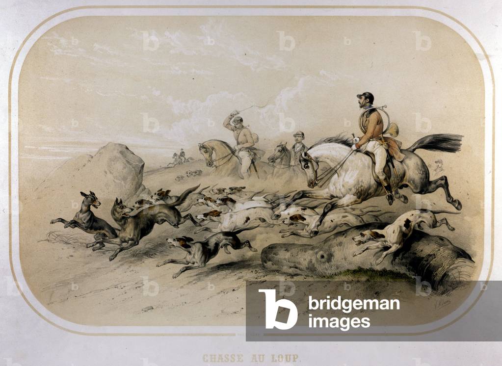 A wolf hunt. 19th century engraving.
