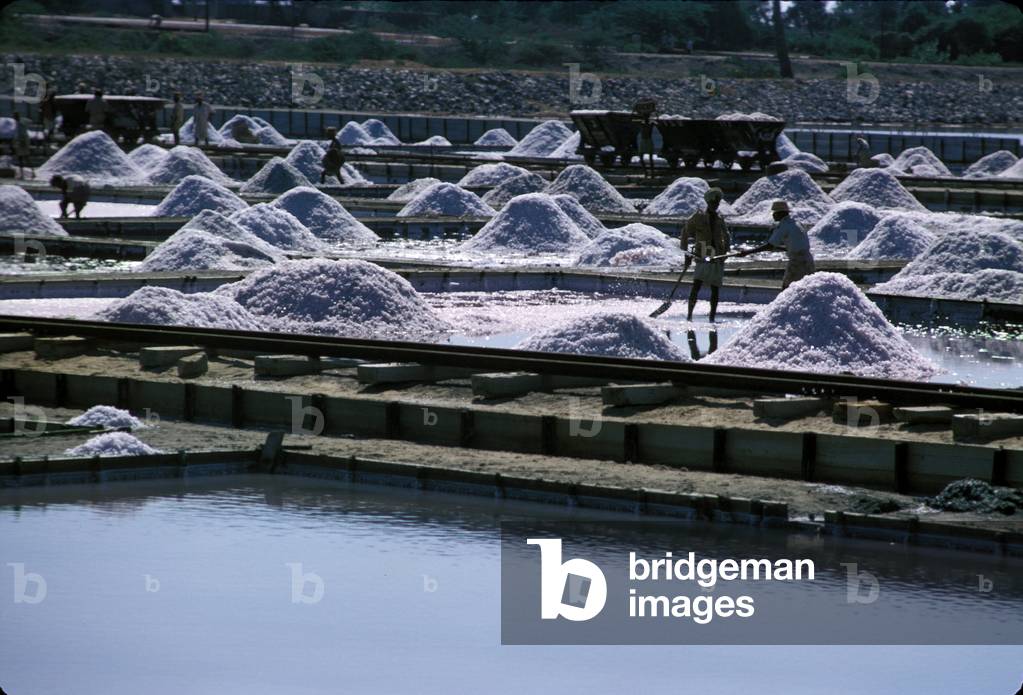 Salt production: view of the Tissamharana saline in Sri Lanka.