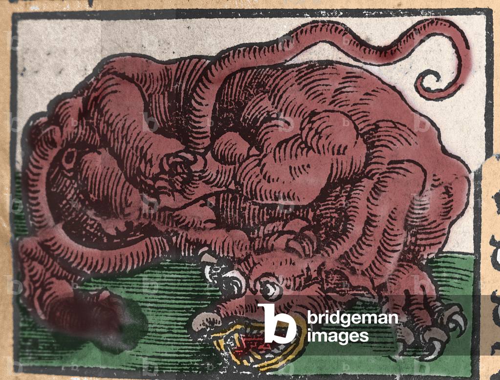 Representation of a dragon. Engraving from “” Den Edlen Strength Besten Fromen”” by Johann Stumpff. 1550