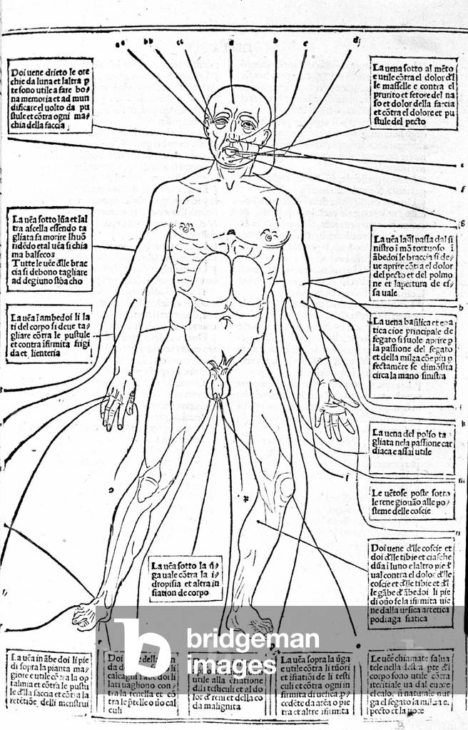 This picture shows the places of the body or practice bleeding depending on the pain. Treatise of Medicine by Gerolamo Cardano (Cardanus Hieronymus), Florence, 1585.