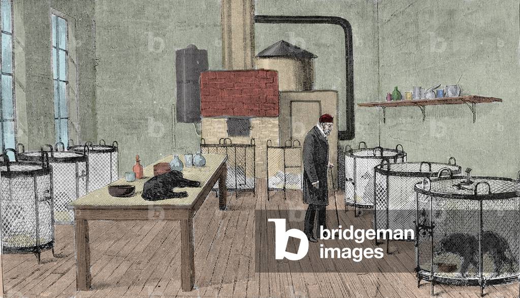 Louis Pasteur (1822-1895), French chemist and physicist in his laboratory in Paris.