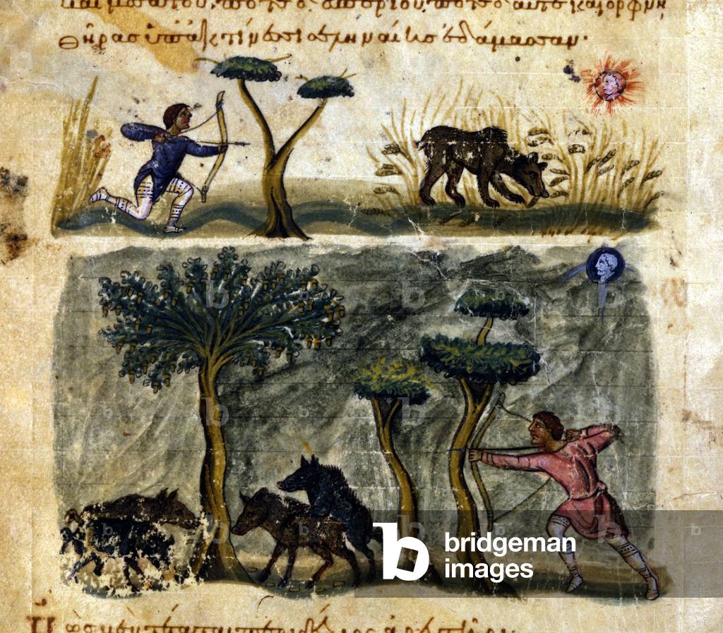 Hunting wild boar after the Greek manuscript of Oppianus De Venatione 13th century.