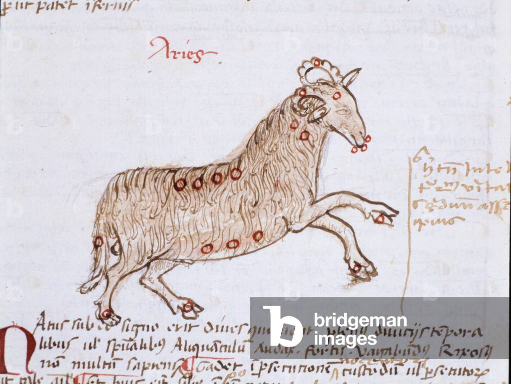 Rappresentazione della costellazione del credente. Manoscritto.