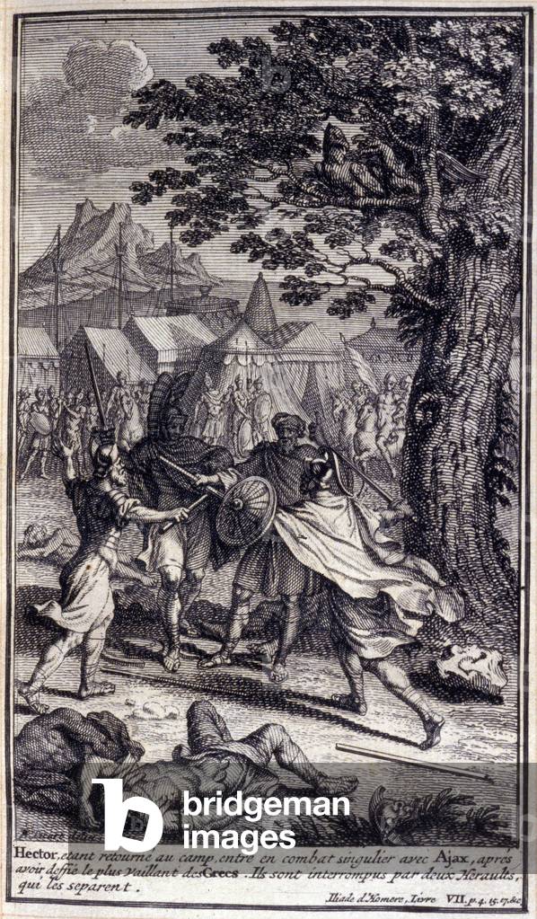 Image de Livre représentant Hector 1701 par Unknown artist