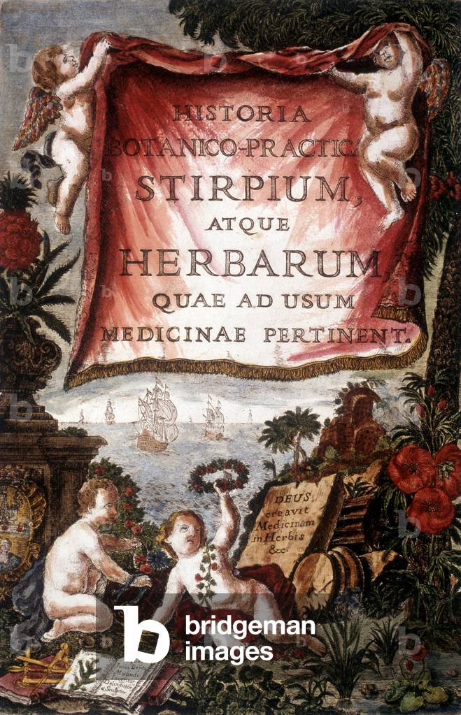 Frontispice of the book “Historia Botanico-Practica Stirpium atque Herbarum quae ad usum Medicinae Relevant””