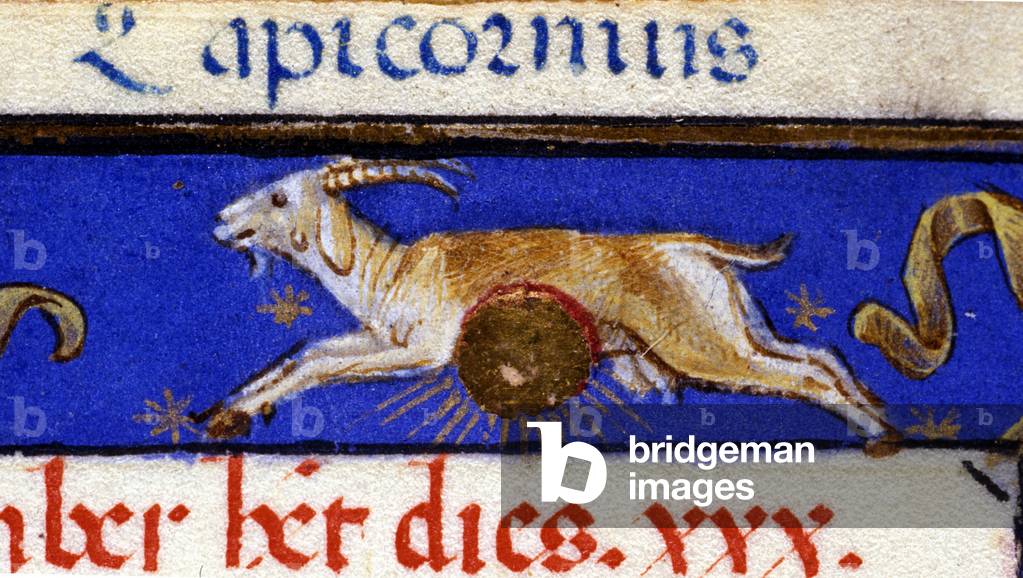 Sign of the zodiac: the capricorn. 15th century manuscript.