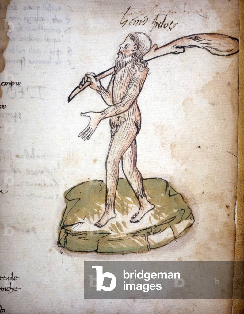 L'uomo peloso - tratto dal manoscritto «L'Aerba» di Cecco d'Ascoli, 1427.