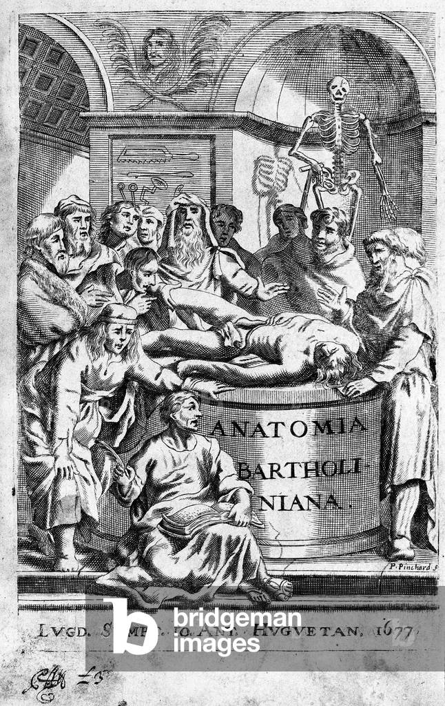 A lecon of anatomy Frontispice takes from “Anatomia Reformata”” by Thomas Bartholin (1616-80) (Bartholinus) 1677