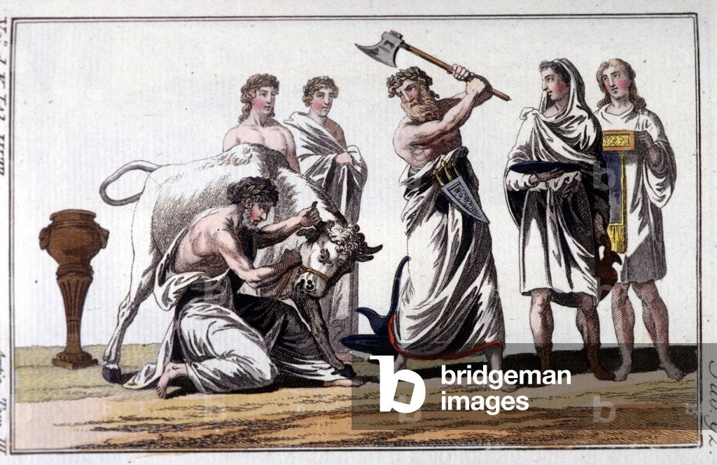 Sacrifice of a bull among the Celts. 19th century engraving.