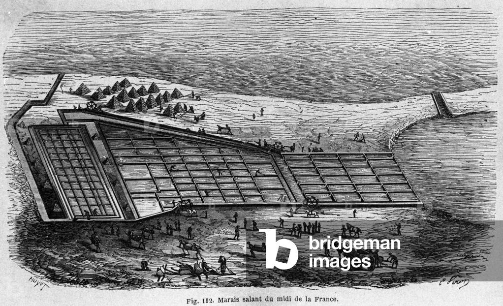 Salt production: view of a salt marsh in the south of France, engraving of 1880