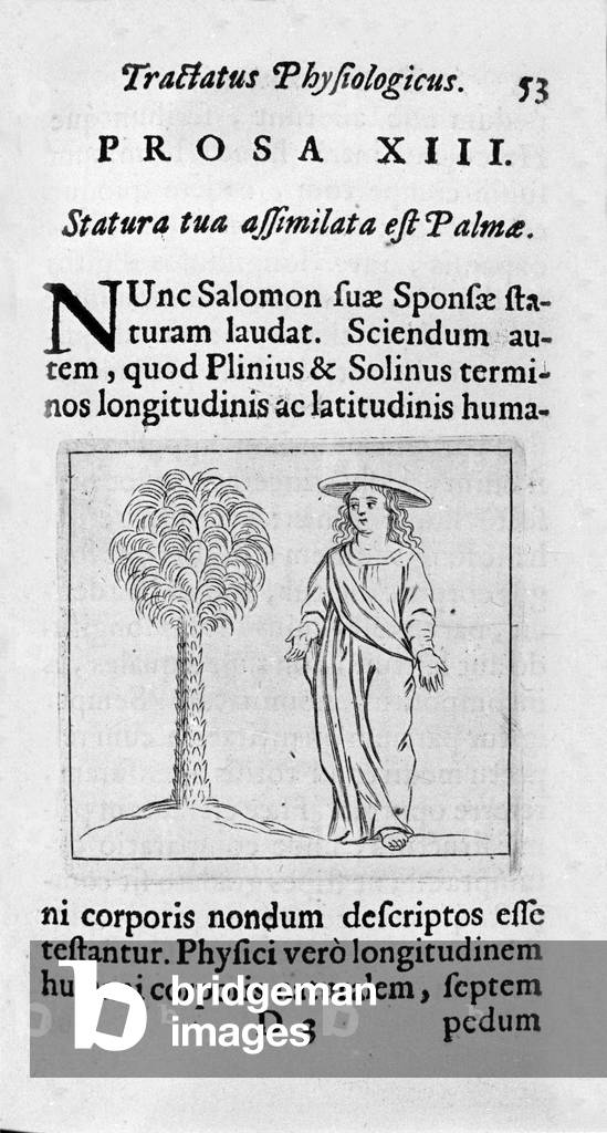 The size of the woman. Page taken from “” Tractatus physiologicus de pulchritudine””” deals with Ernesto Venio (Ernestus Vaenius) defending the beauty of creation against an anonymous opponent. 1612