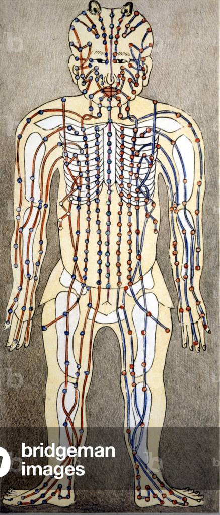 Chinese medicine. The currents of the body where to apply acupunture. 19th century.